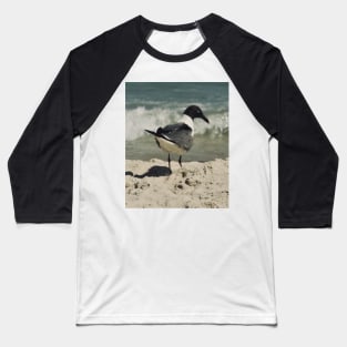 Beautiful photograph of a sad seagull Baseball T-Shirt